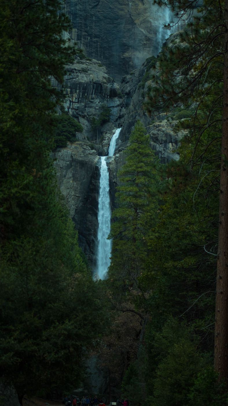 A waterfall in the forest